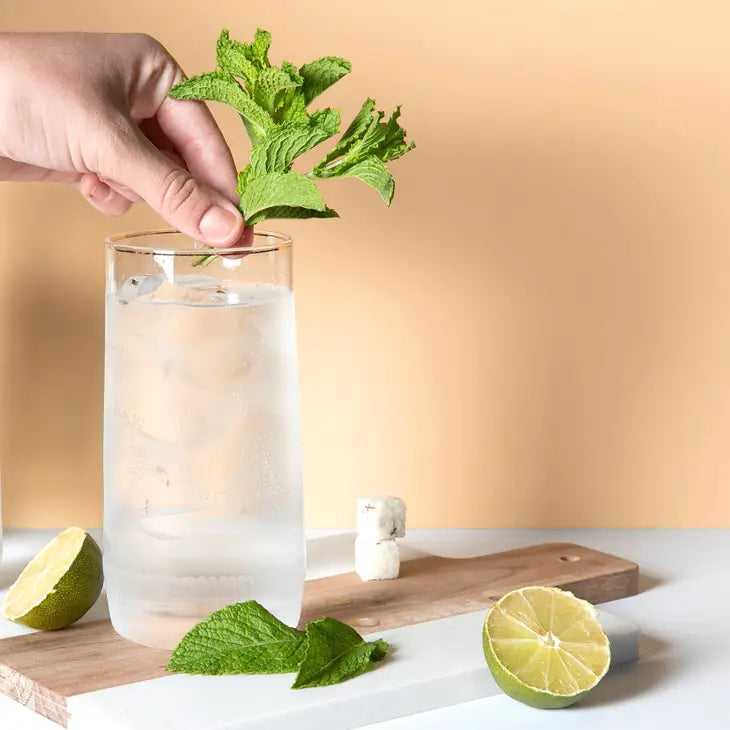 TEASPRESSA - MOJITO | LUXE Sugar Stick