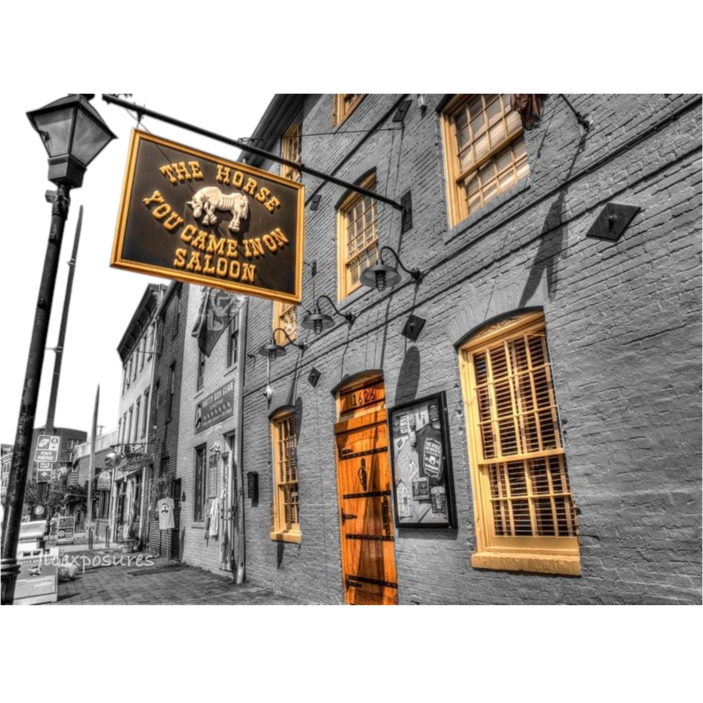 Jeff Cohen 10x13 Unframed Prints The Horse