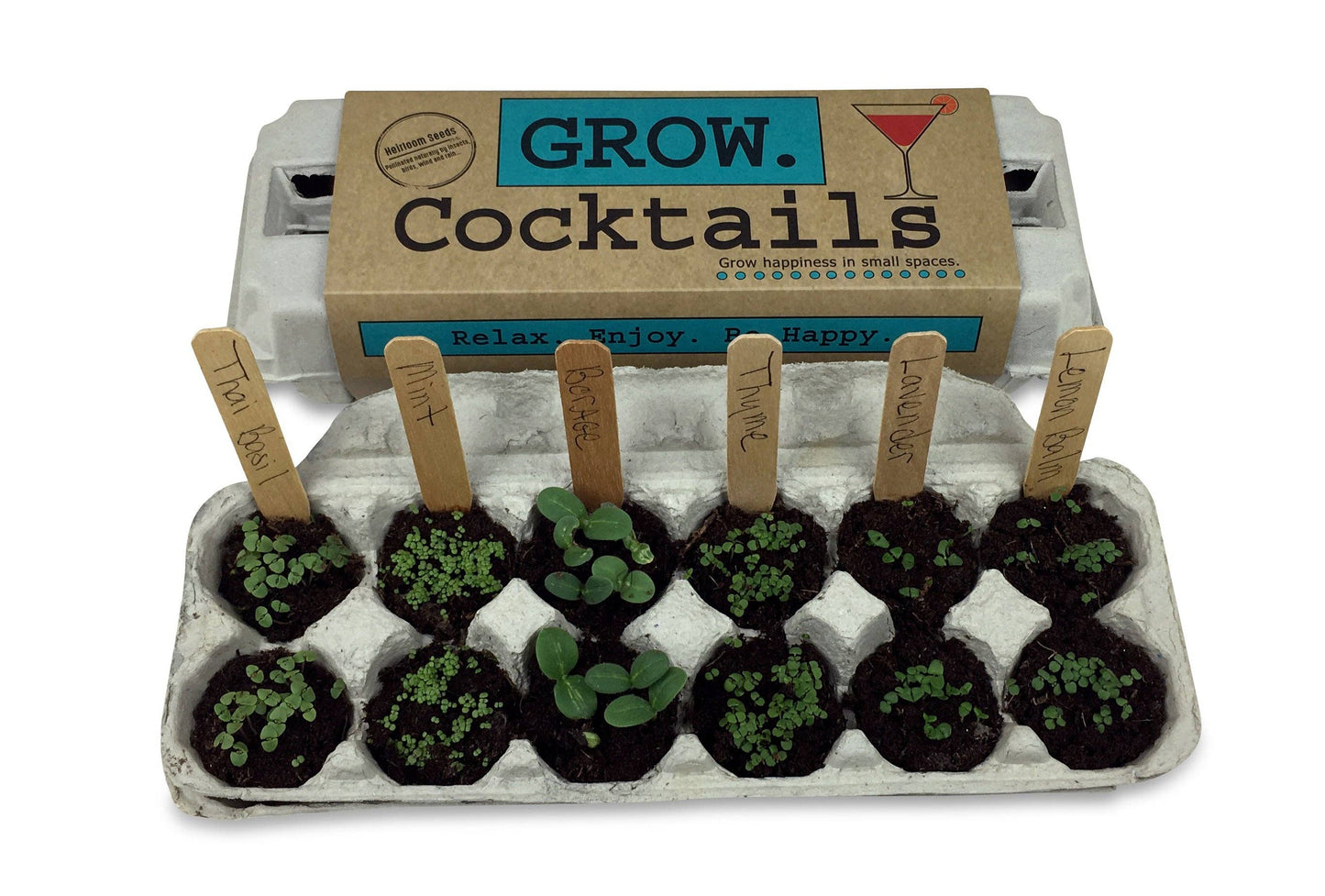 Backyard Safari Company - Cocktail Garden Grow Kit