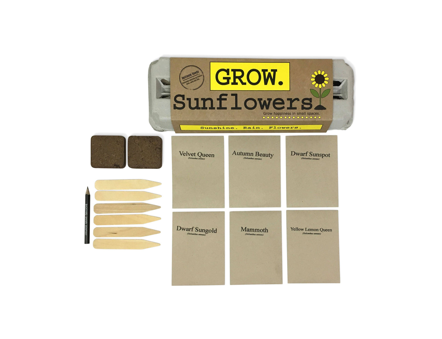 Backyard Safari Company - Sunflower Garden Grow Kit
