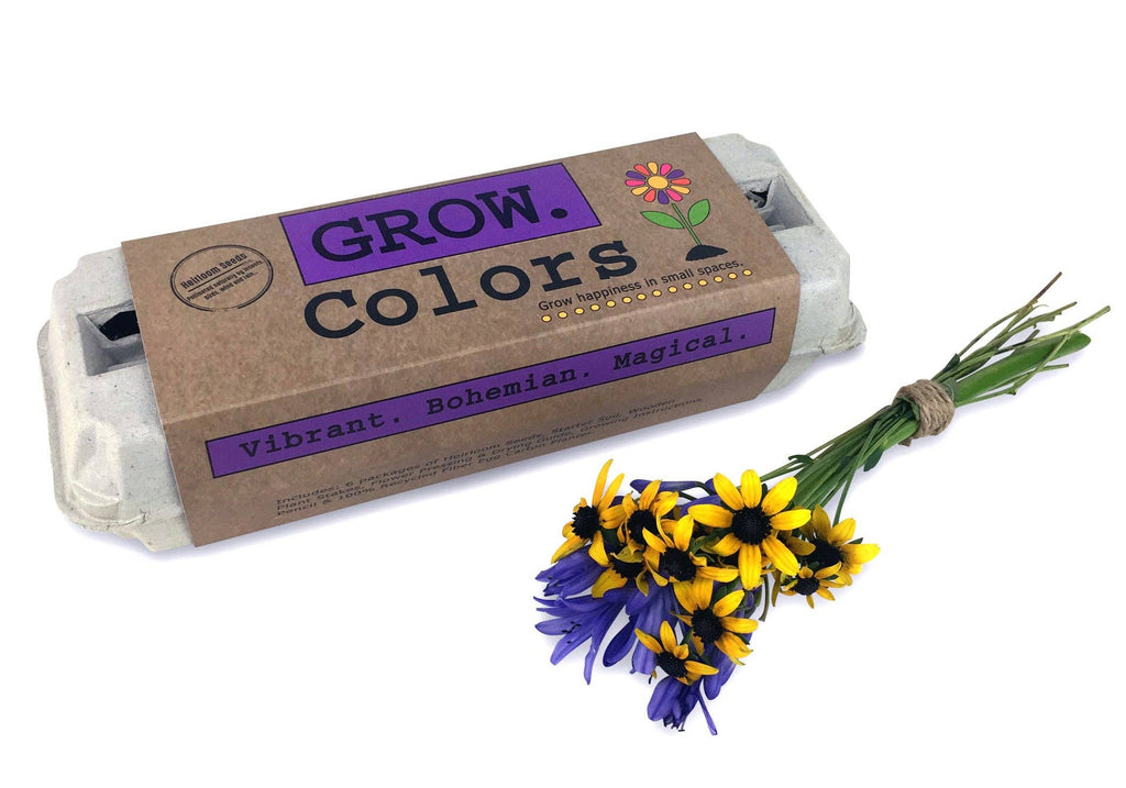 Backyard Safari Company - Colors Flower Garden Grow Kit