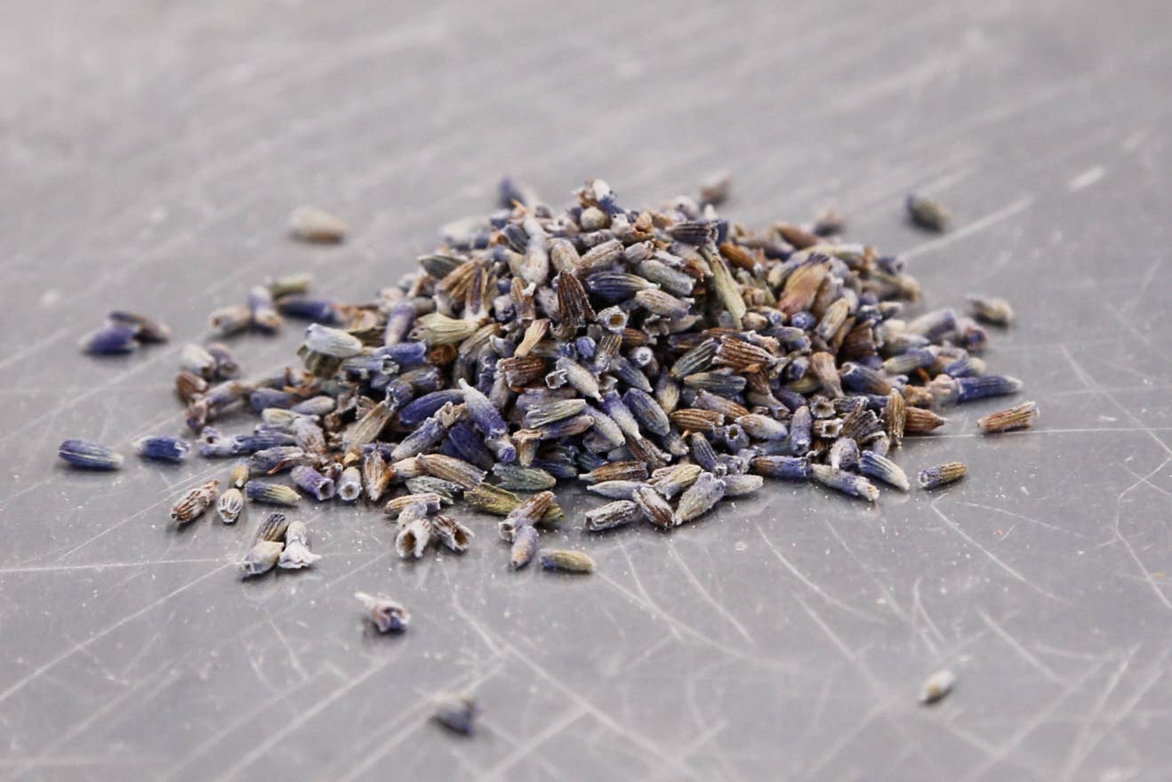 Spicewalla - Lavender Flowers