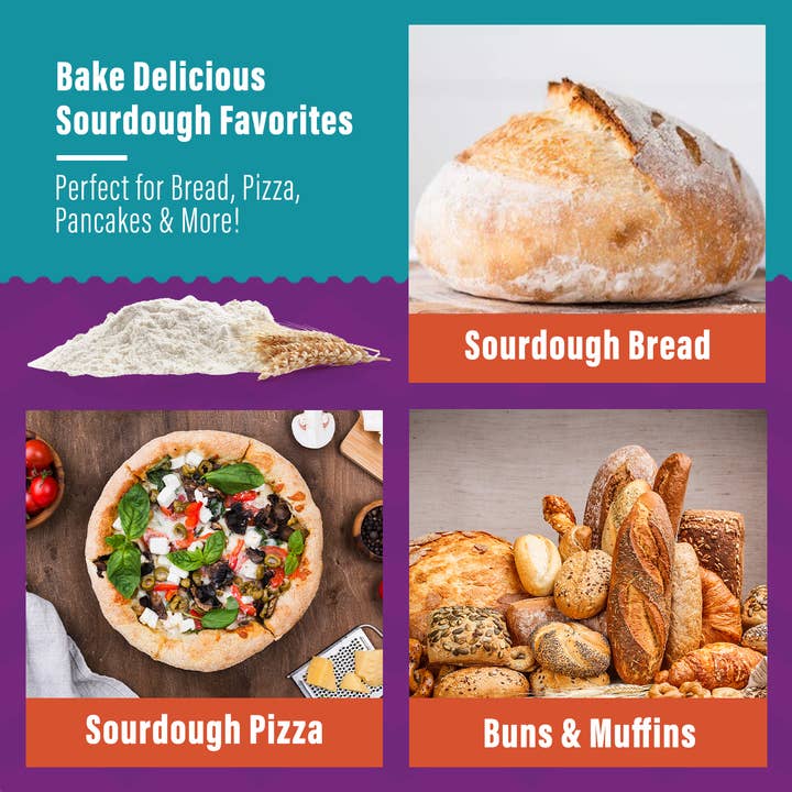 Organic, Non-GMO Sourdough Starter | Freeze Dried |  12gm