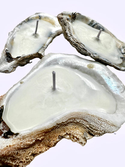 Martini Candle Co. - Oyster Shell Candle Handmade Beeswax Soy : Unscented