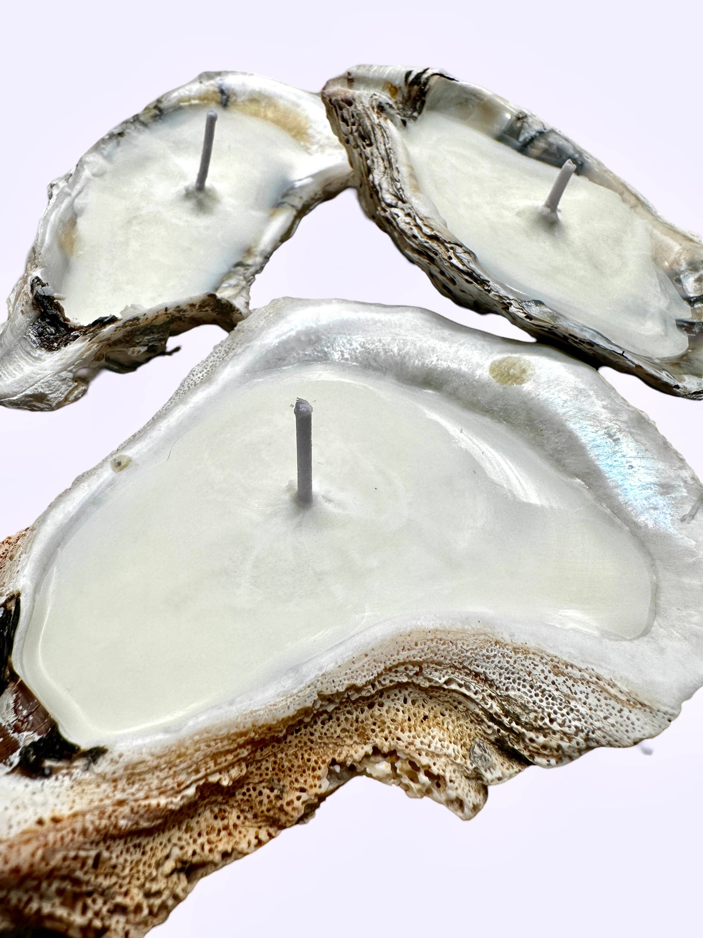 Martini Candle Co. - Oyster Shell Candle Handmade Beeswax Soy:  Dark Sea