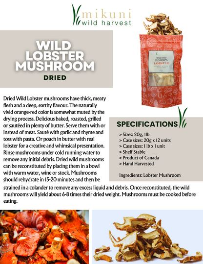 Dried Wild Lobster Mushrooms -20 g.