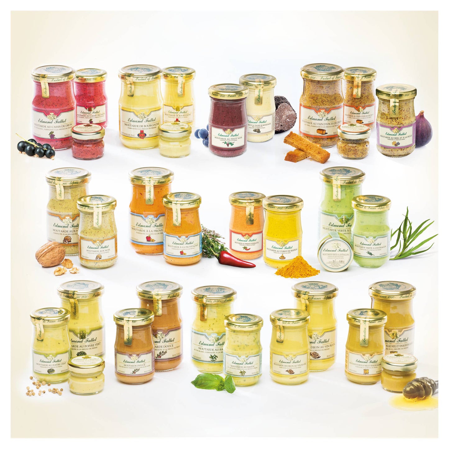 Gourmet Food Solutions, Inc. - Edmond Fallot Dijon Mustards: BURGUNDY WINE