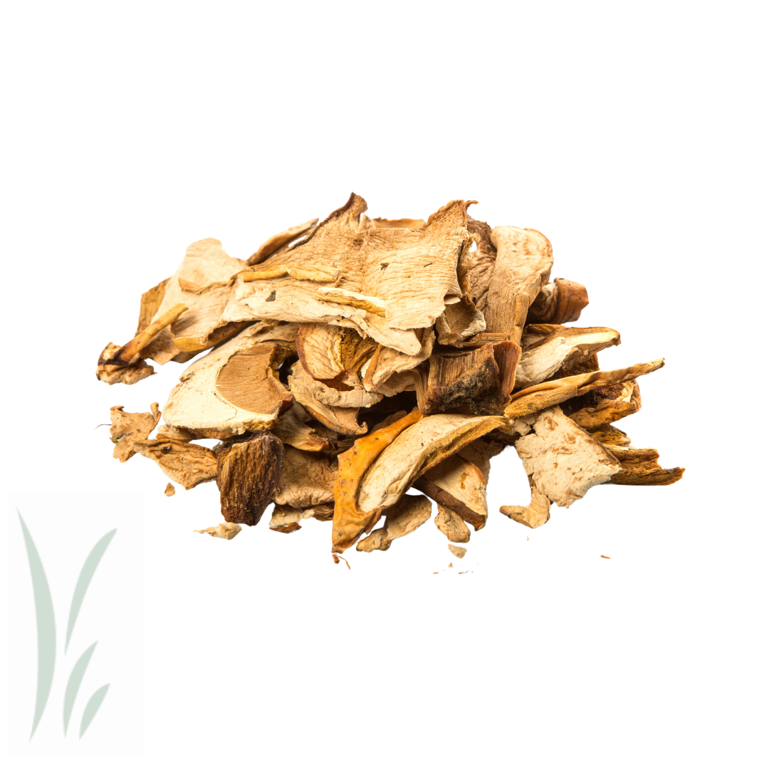 Dried Wild Porcini Mushrooms / 20 g.