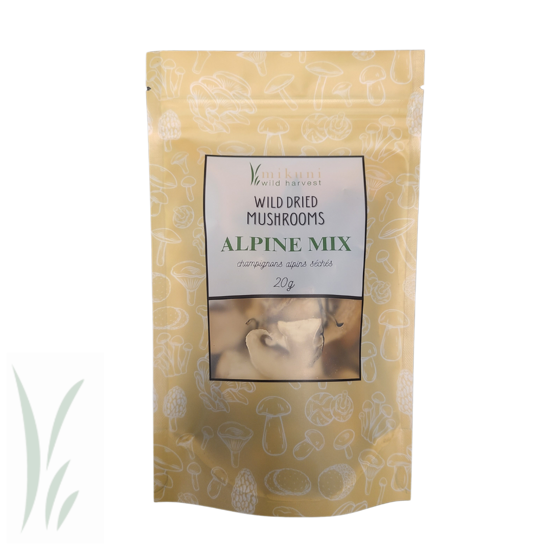 Dried Alpine Mix Mushrooms - 20 g.