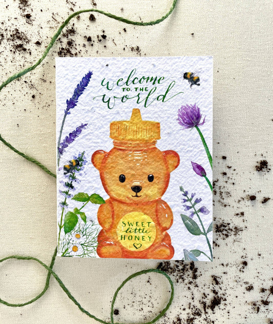 Notes of Eden Seed Cards - Sweet Little Honey Plantable Wellness Mix Seed Card: Compostable Cello Sleeves / Green