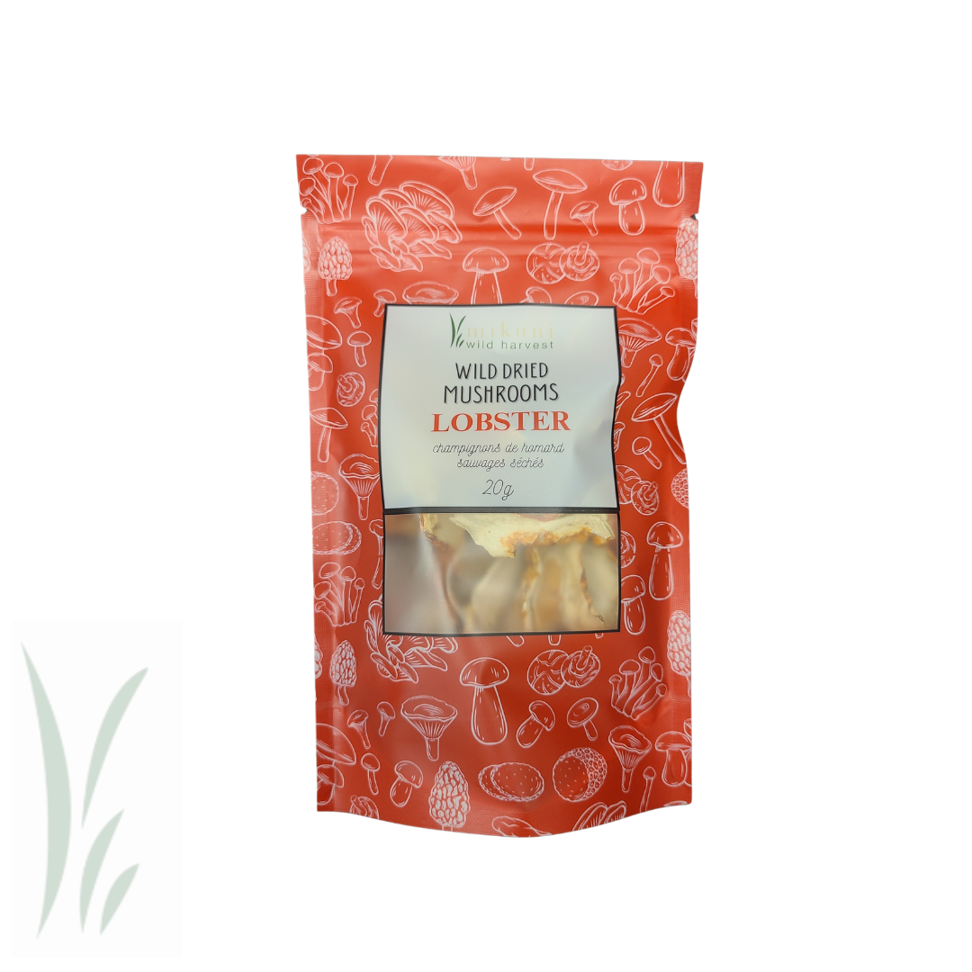 Dried Wild Lobster Mushrooms -20 g.