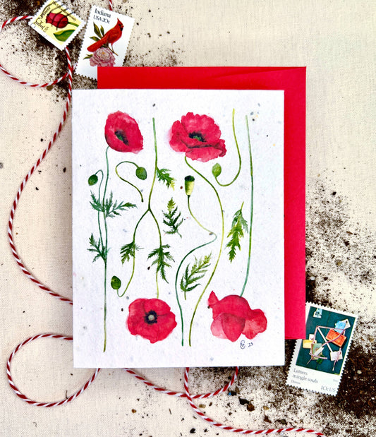 Notes of Eden Seed Cards - Poppy Fields Wildflower Mix Plantable Seed Card: Compostable Cello Sleeves / Green
