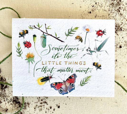 Notes of Eden Seed Cards - The Little Things Plantable Wildflower Seed Card: Compostable Cello Sleeves / White