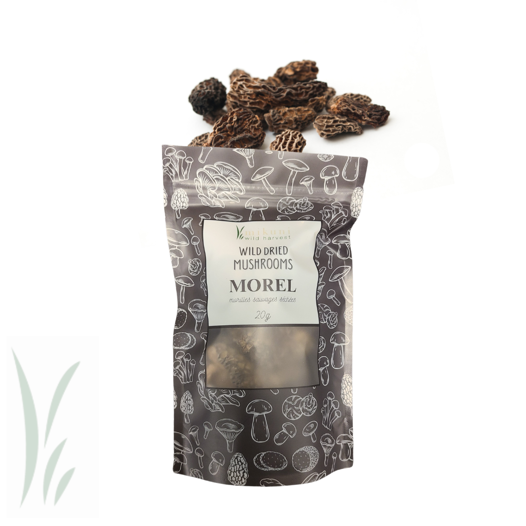 Dried Wild Morel Mushrooms / 20 g