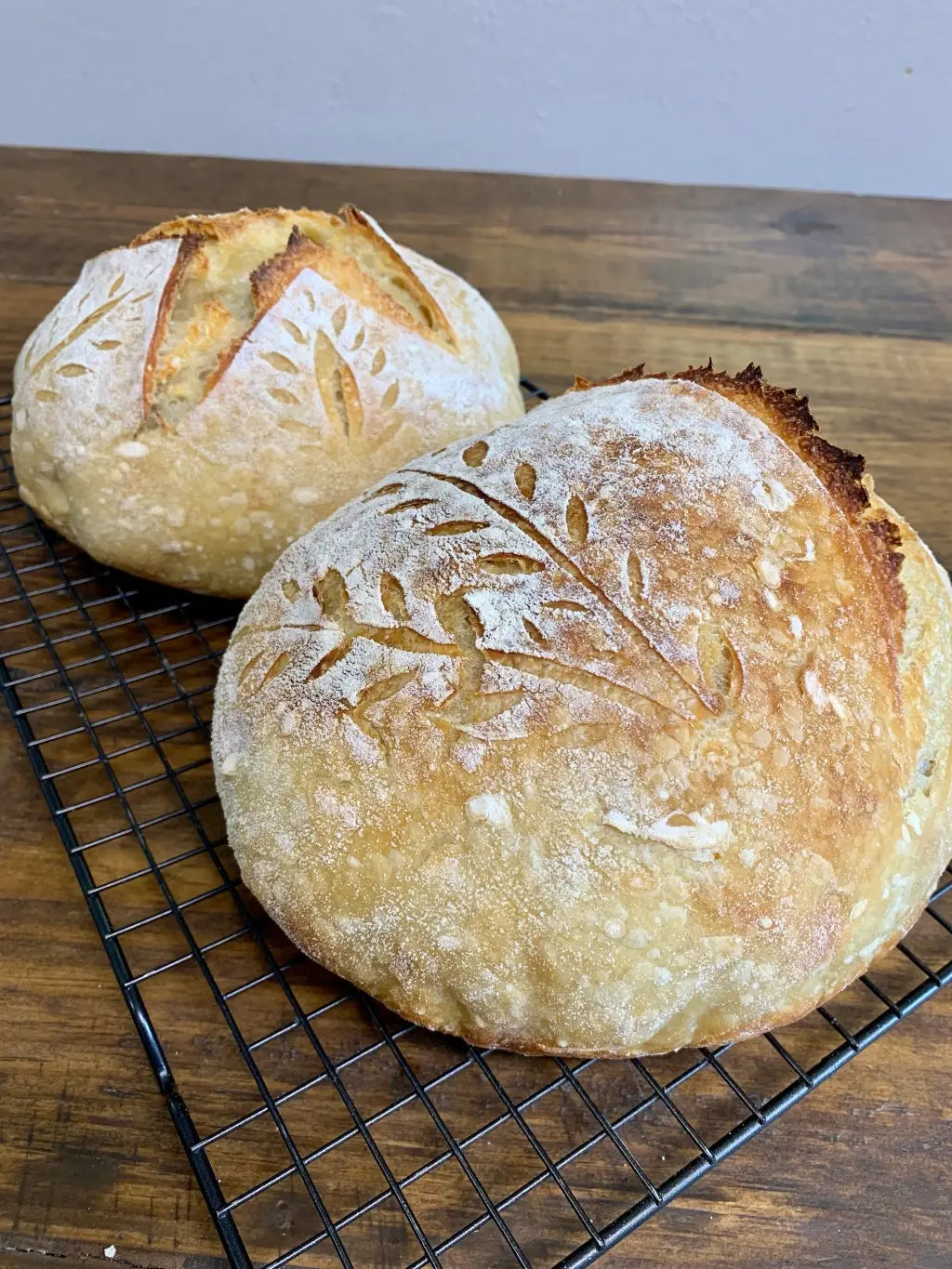 Organic, Non-GMO Sourdough Starter | Freeze Dried |  12gm