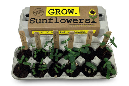 Backyard Safari Company - Sunflower Garden Grow Kit