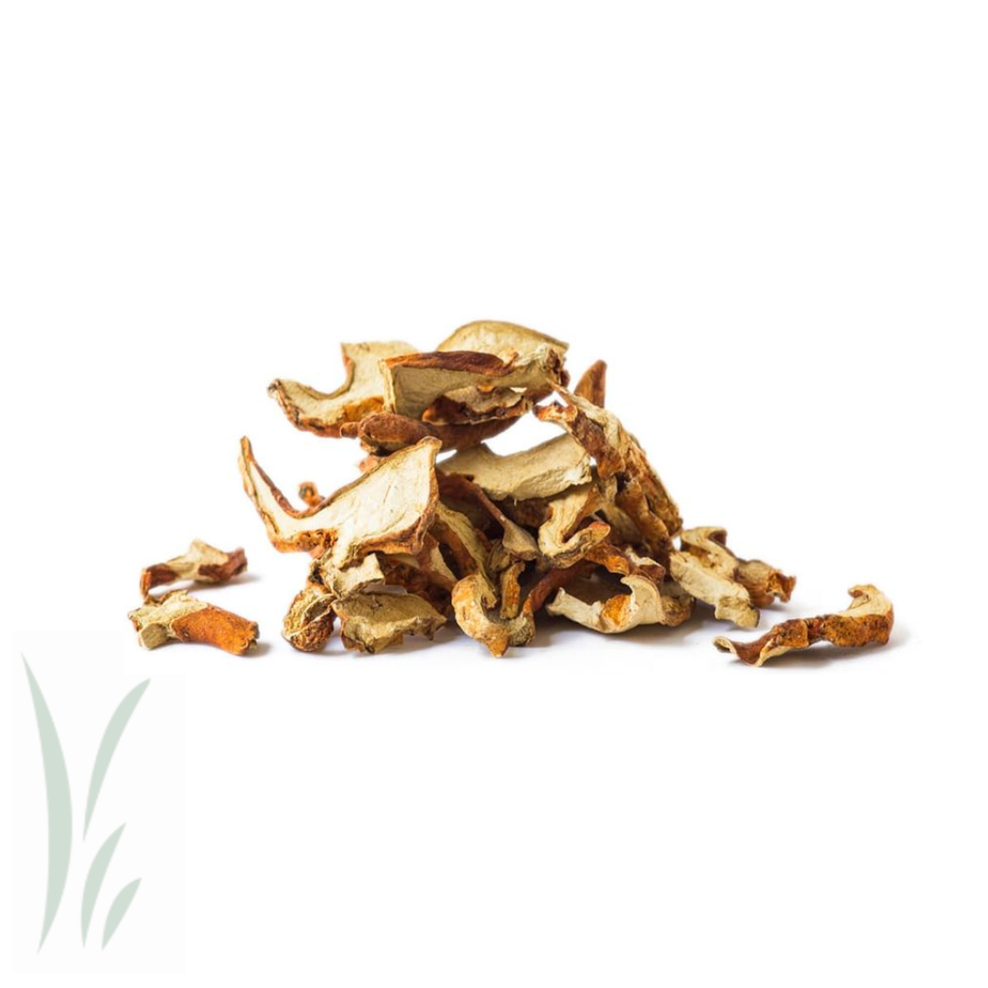 Dried Wild Lobster Mushrooms -20 g.