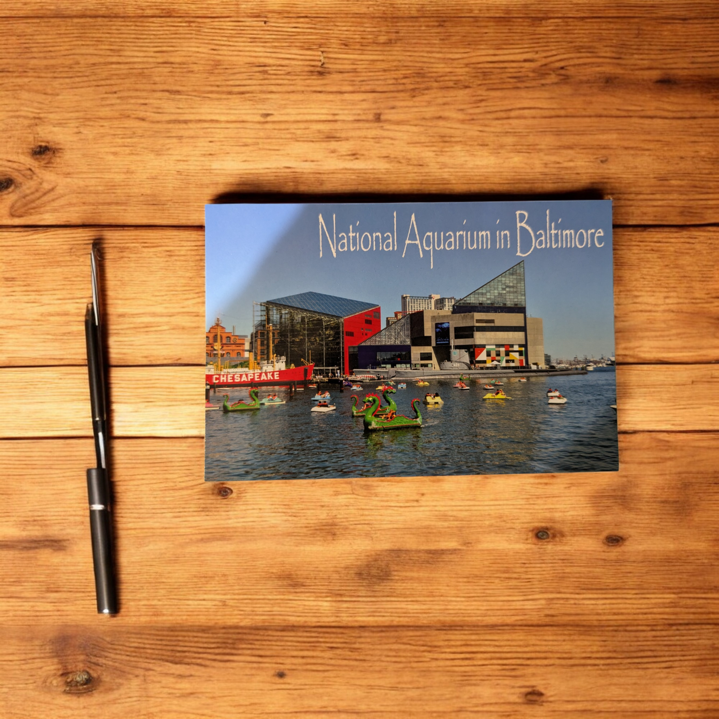 Postcard Aquarium