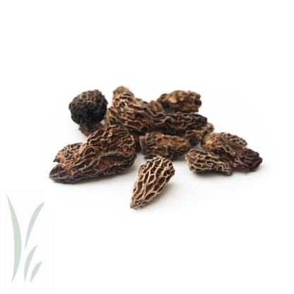 Dried Wild Morel Mushrooms / 20 g