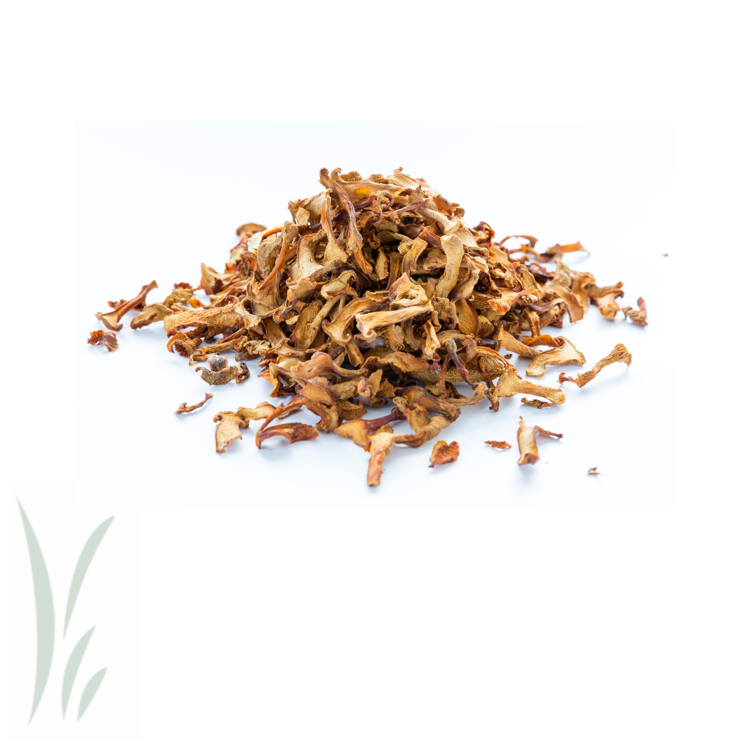 Dried Wild Chanterelle Mushrooms / 20 g