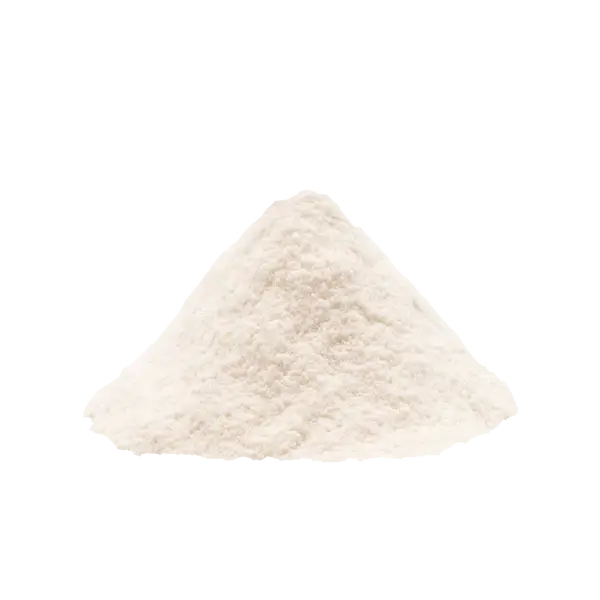 Organic, Non-GMO Sourdough Starter | Freeze Dried |  12gm