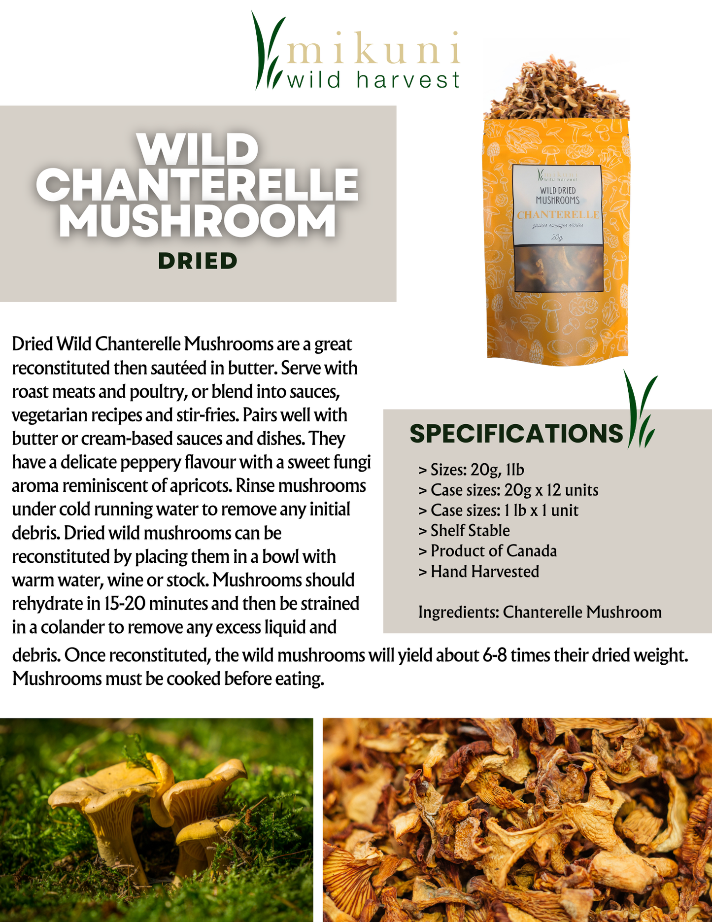 Dried Wild Chanterelle Mushrooms / 20 g