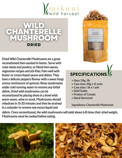 Dried Wild Chanterelle Mushrooms / 20 g