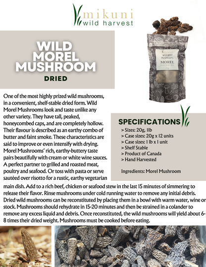 Dried Wild Morel Mushrooms / 20 g