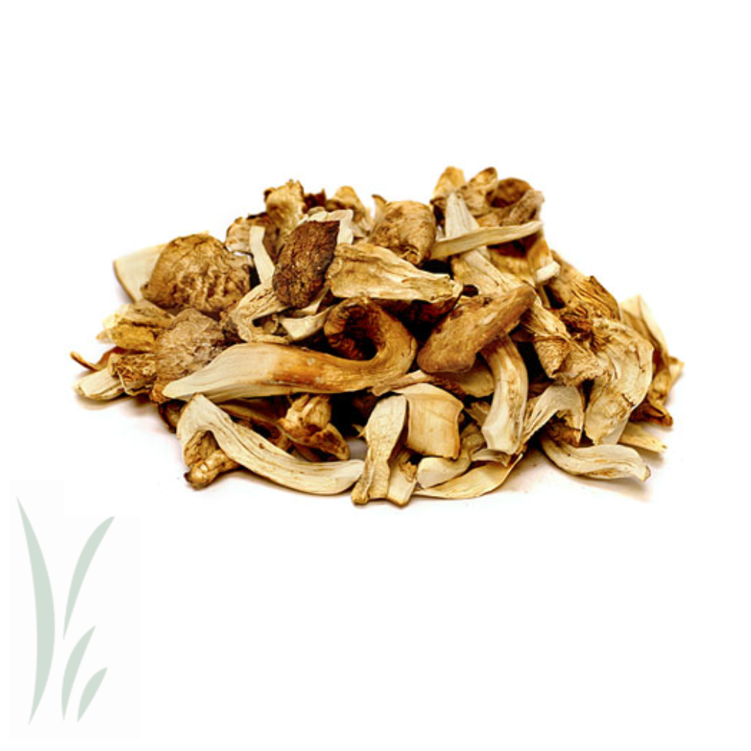 Dried Wild Matsutake Mushrooms - 20 g.