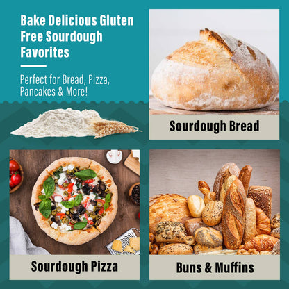 Organic, Non GMO GLUTEN FREE Sourdough Starter 12 gram.