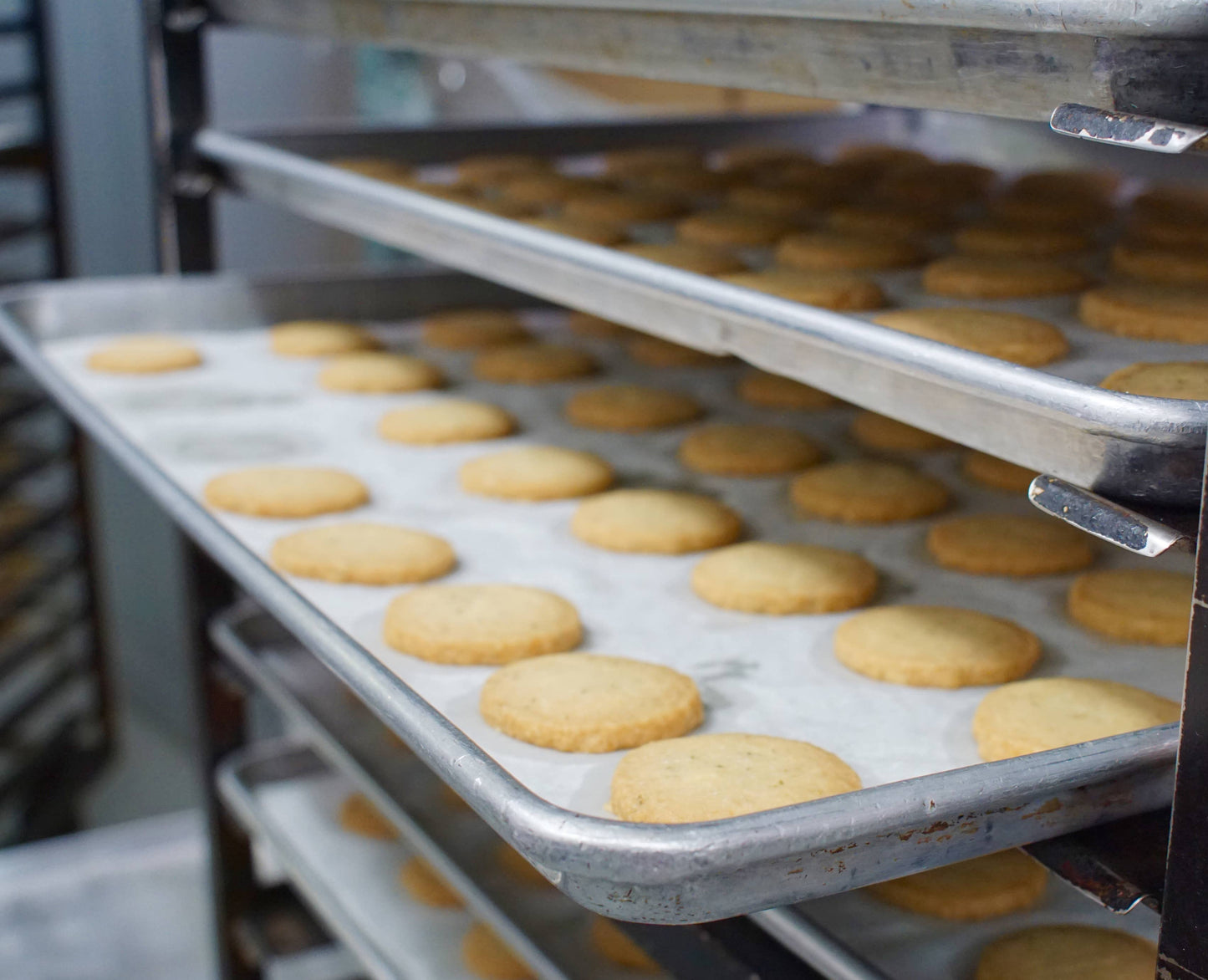 Salted Rosemary Shortbread - 6 oz