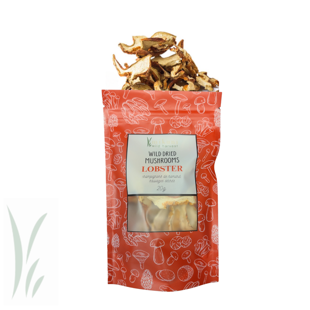 Dried Wild Lobster Mushrooms -20 g.