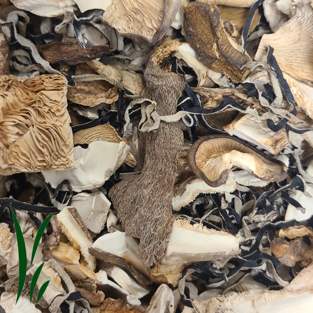 Dried Alpine Mix Mushrooms - 20 g.