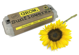 Backyard Safari Company - Sunflower Garden Grow Kit