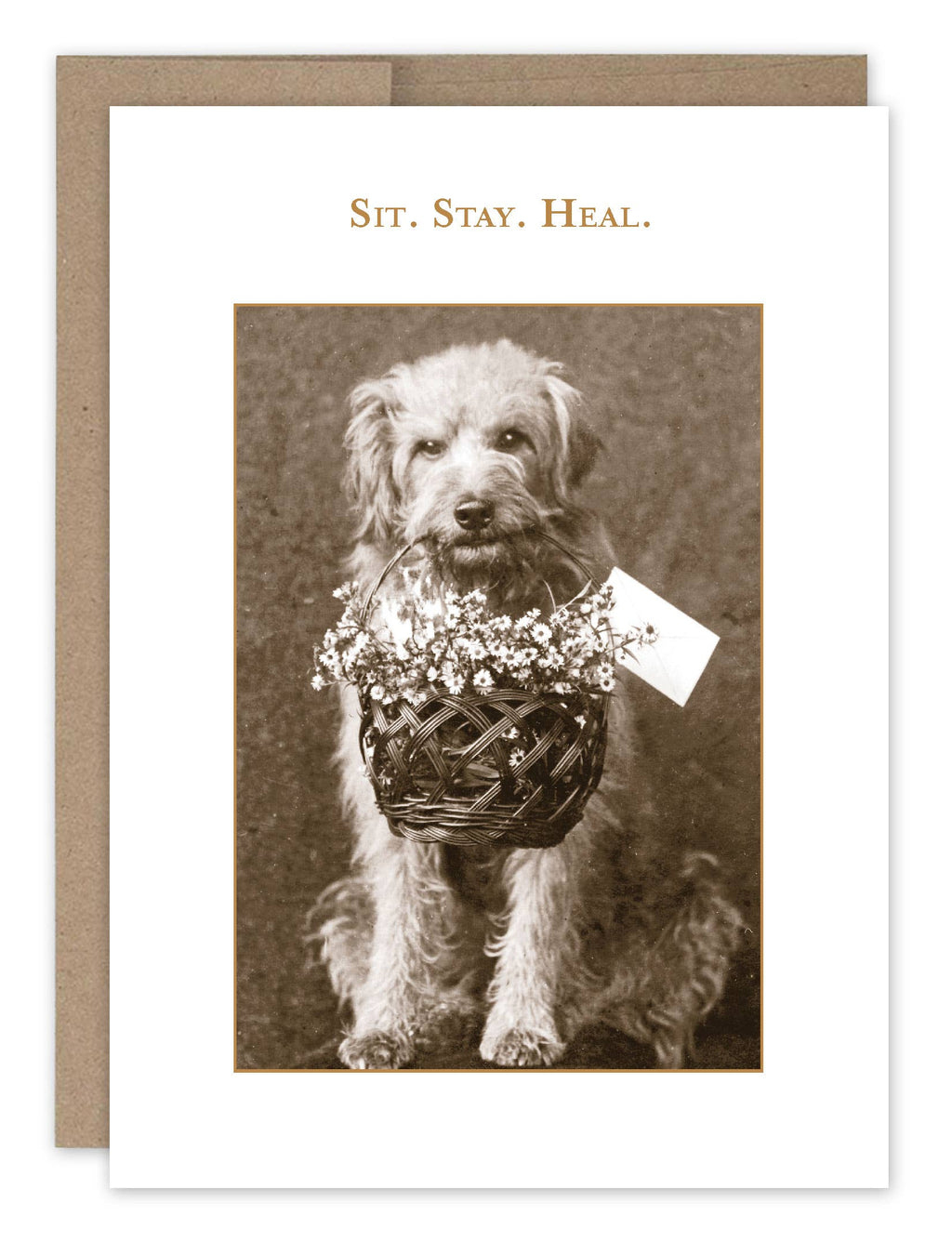 Shannon Martin Design - Sit. Stay. Heal. Card
