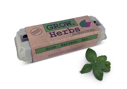 Backyard Safari Company - Herb Garden Grow Kit