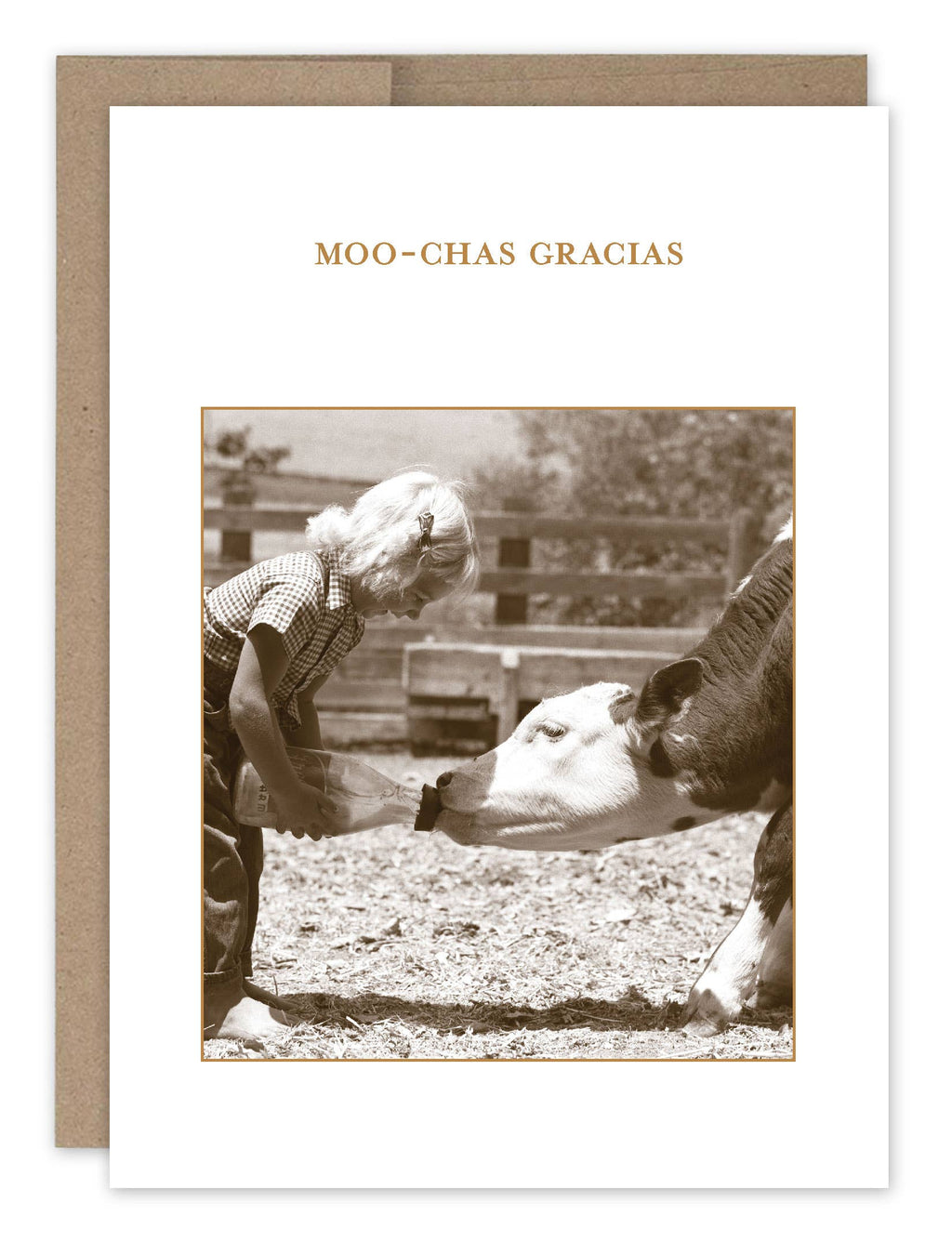 Shannon Martin Design - Moo Chas Gracias Card