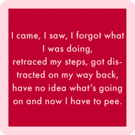 Drinks on Me coasters - I Came, I Saw